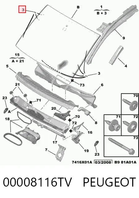 Szyba przednia 00008116TV Peugeot/Citroen