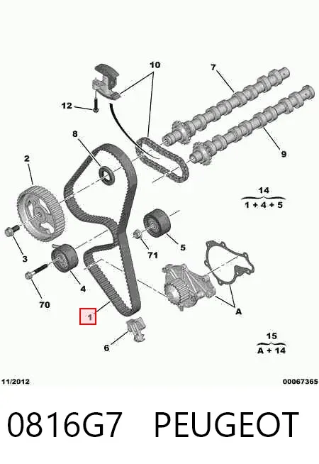 Pasek rozrządu 0816G7 Peugeot/Citroen