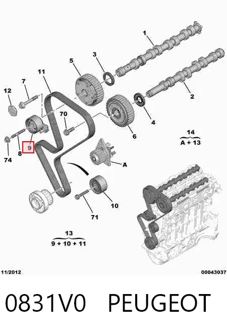 Pasek rozrządu, zestaw 0831V0 Peugeot/Citroen