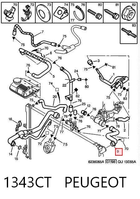 Przewód (króciec) chłodnicy górny 1343CT Peugeot/Citroen