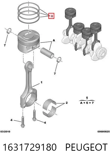 Tłok, komplet do jednego cylindru, STD 1631729180 Peugeot/Citroen