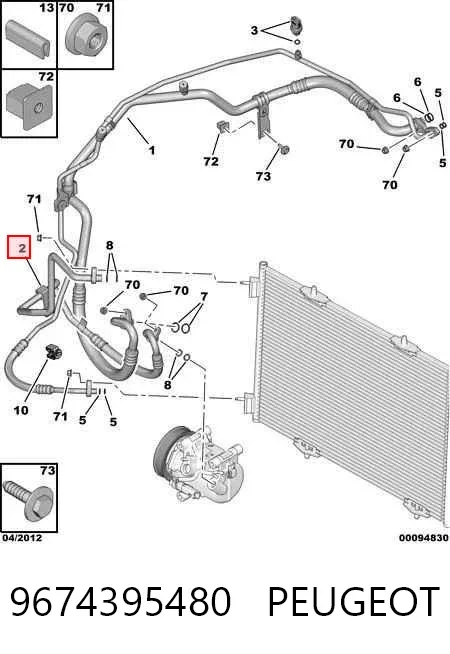  9674395480 Peugeot/Citroen