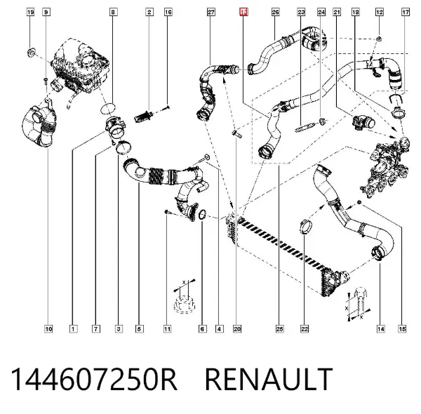 Przewód (króciec) intercoolera 144607250R Renault (RVI)