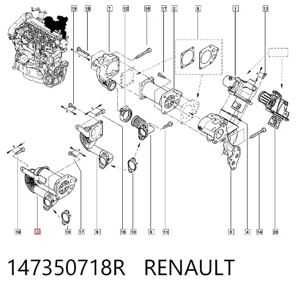 Wąż (przewód) chłodnicy EGR, doprowadzenie 147350718R Renault (RVI)