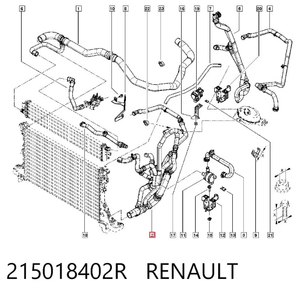 Przewód (króciec) chłodnicy dolny 215018402R Renault (RVI)