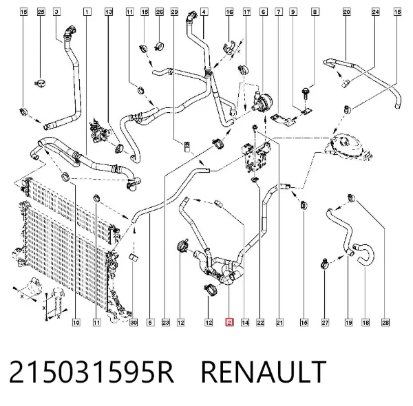Przewód (króciec) chłodnicy dolny 215031595R Renault (RVI)