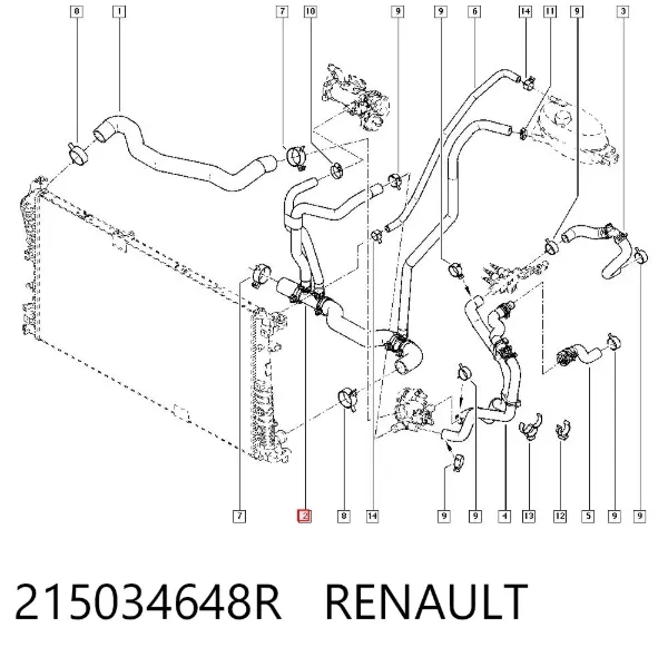 Przewód (króciec) chłodnicy dolny 215034648R Renault (RVI)