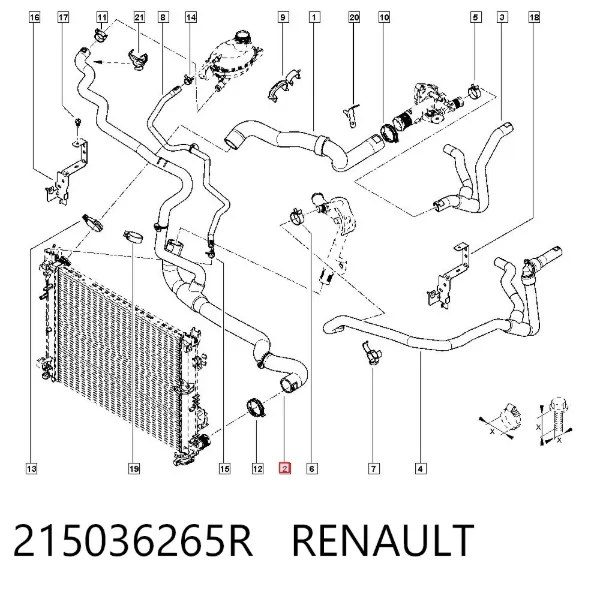 Przewód (króciec) chłodnicy dolny 215036265R Renault (RVI)