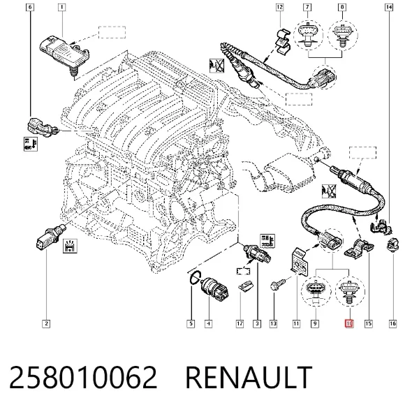 Sonda lambda czujnik tlenu przed katalizatorem 258010062 Renault (RVI)