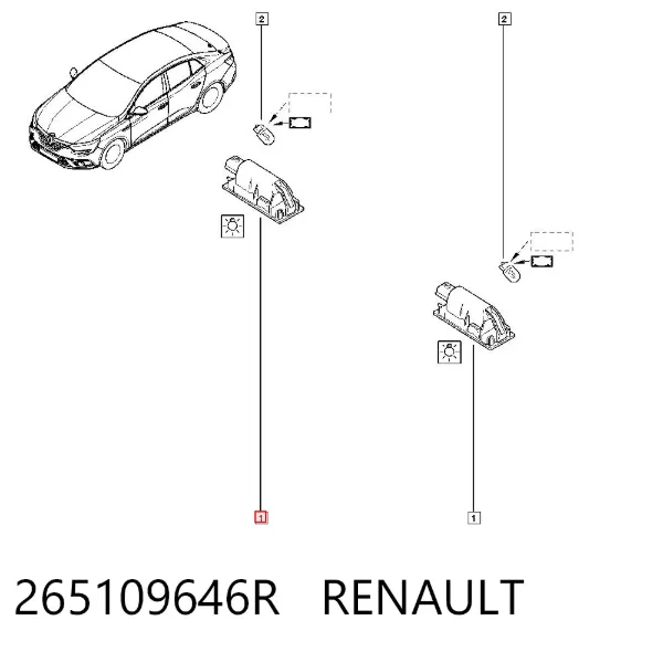 Lampa oświetlenia tylnej tablicy rejestracyjnej 265109646R Renault (RVI)