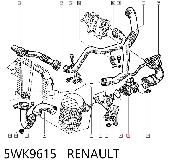 Czujnik przepływu powietrza, przepływomierz powietrza M.A.F. 5WK9615 Renault (RVI)