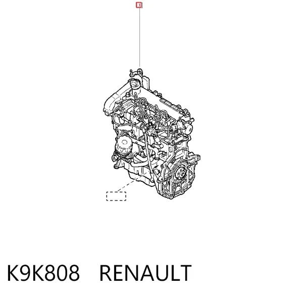 Silnik w komplecie K9K808 Renault (RVI)