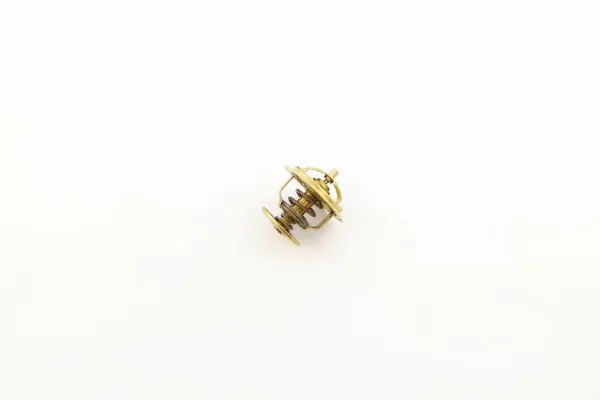 Termostat 056121113D VAG