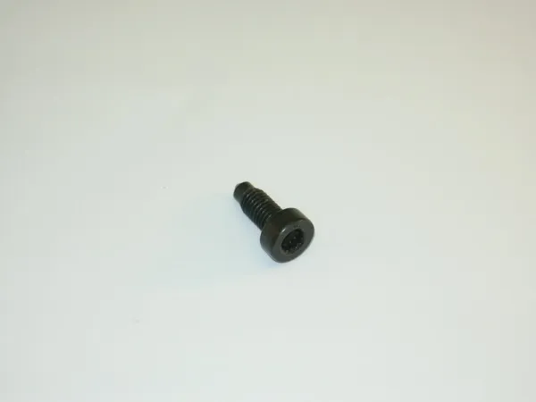 Śruba głowicy cylindrów N90931602 VAG