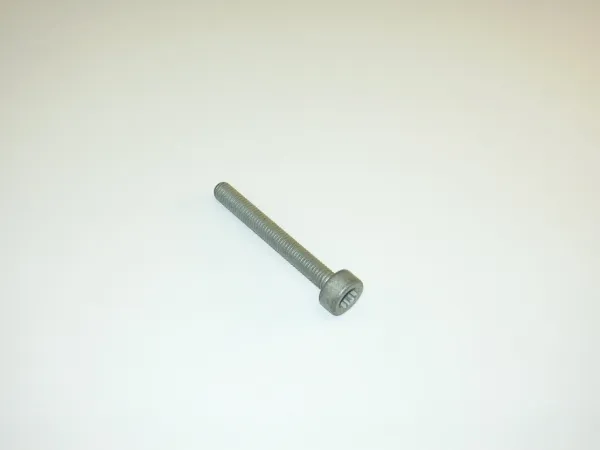 Śruba głowicy cylindrów N91045502 VAG