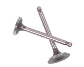 Zawór dolotowy/ssący