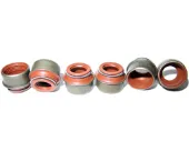 Uszczelniacz zaworu dolotowego/wylotowego, zestaw na silnik