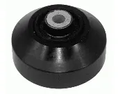 Silentblock tylny (poduszka) reduktora mostu tylnego