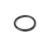 Pierścień króćca turbiny, doładowywanego powietrza