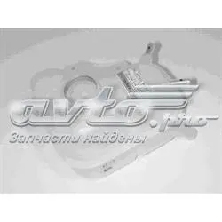 Zbiorniczek wyrównawczy układu chłodzenia TF696096182279 ZAZ