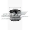 Filtr paliwa Ford Mondeo CA2