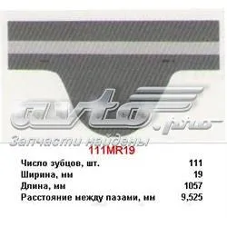 Pasek rozrządu 111MR19 Mitsuboshi