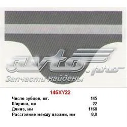 Pasek rozrządu 145XY22 Mitsuboshi