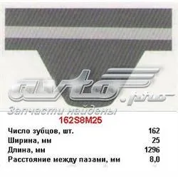 Pasek rozrządu Suzuki Vitara