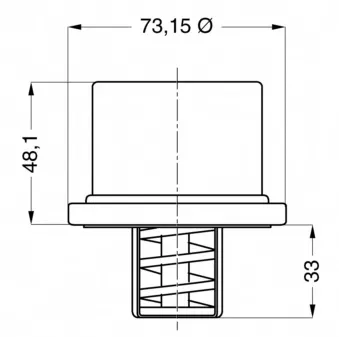 Termostat 81491862 Volvo