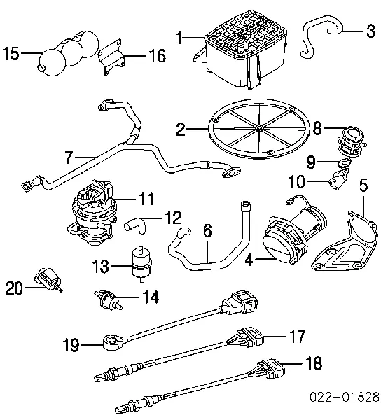 Sonda lambda Citroen C8