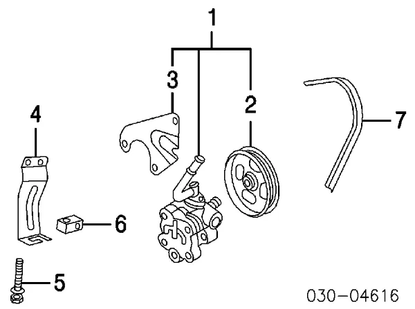 Pompa wspomagania hydraulicznego kierownicy 491100021R Renault (RVI)