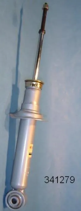 Amortyzator tylny RS317134 Raiso