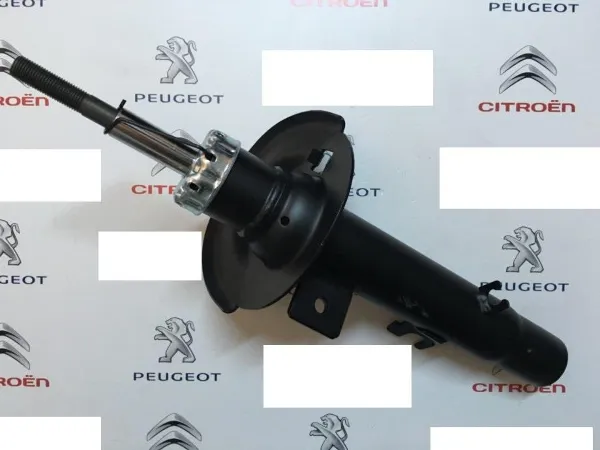 Amortyzator tylny 334801 Record