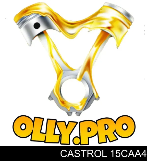 Olej do silnika 15CAA4 Castrol