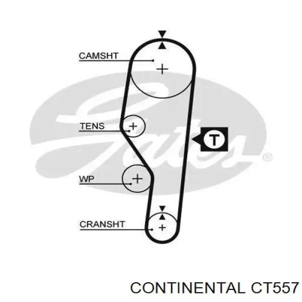 Pasek rozrządu CT557 Continental/Siemens