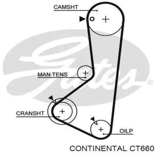 Pasek rozrządu CT660 Continental/Siemens