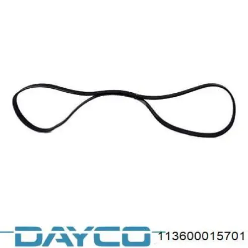 Pas napędowy mechanizmów 113600015701 Dayco