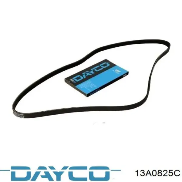 Pas napędowy mechanizmów 13A0825C Dayco