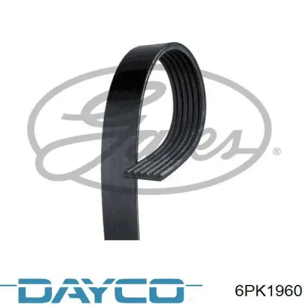 Pas napędowy mechanizmów 6PK1960 Dayco