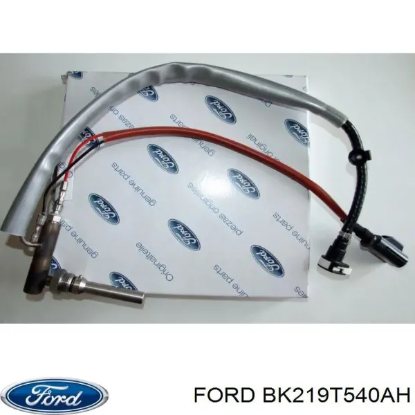 Wtryskiwacz AD BLUE BK219T540AH Ford