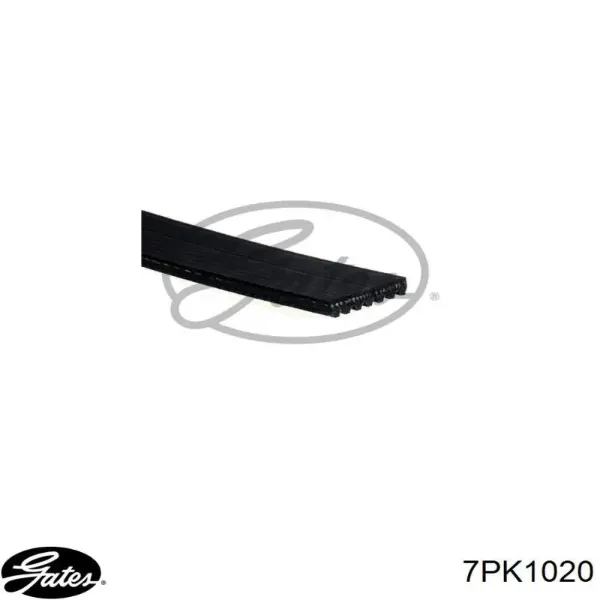 Pas napędowy mechanizmów 8980031870 Isuzu