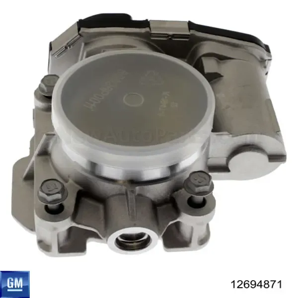 Przepustnica, komplet 12694871 General Motors