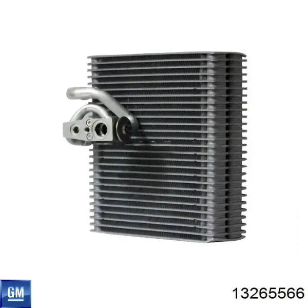 Przewód (króciec) chłodnicy górny 13265566 General Motors