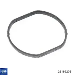 Uszczelka termostatu 25189205 General Motors