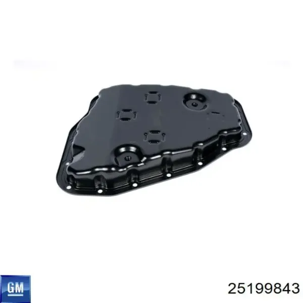 Filtr automatycznej skrzyni biegów 25199843 General Motors
