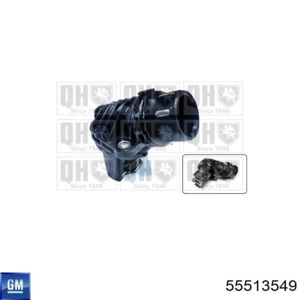 Termostat 55513549 General Motors