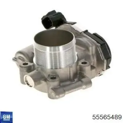 Przepustnica, komplet 55565489 General Motors