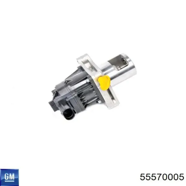 Zawór recyrkulacji spalin EGR 55570005 General Motors