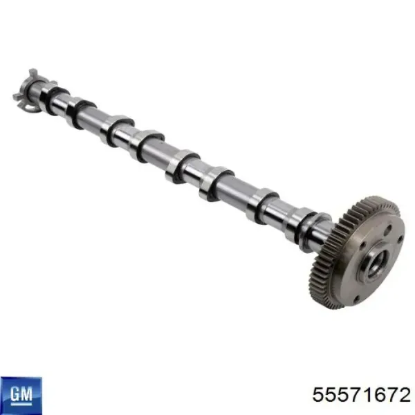 Koło zębatewalcowe wałka rozrządu silnika 55571672 General Motors