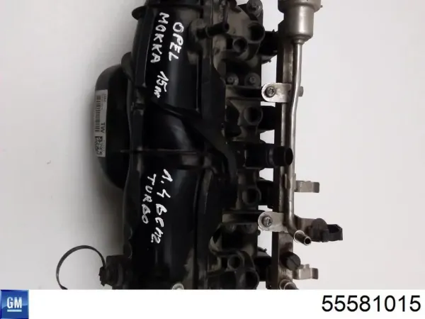 Kolektor ssący 55581015 General Motors